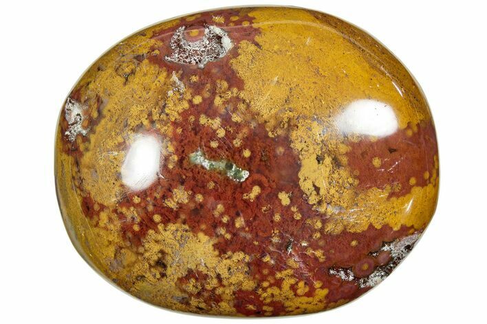 Polished Ocean Jasper Stone - New Deposit #223003